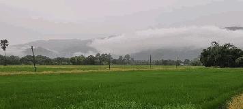 ขายด่วน! แบ่งขายที่ดิน 200 ตรว. อ.เมือง จ.นครนายก วิวสวยที่สุดในเขาพระ อากาศดีมาก มีเขาล้อมรอบ โทร 080-469-6692